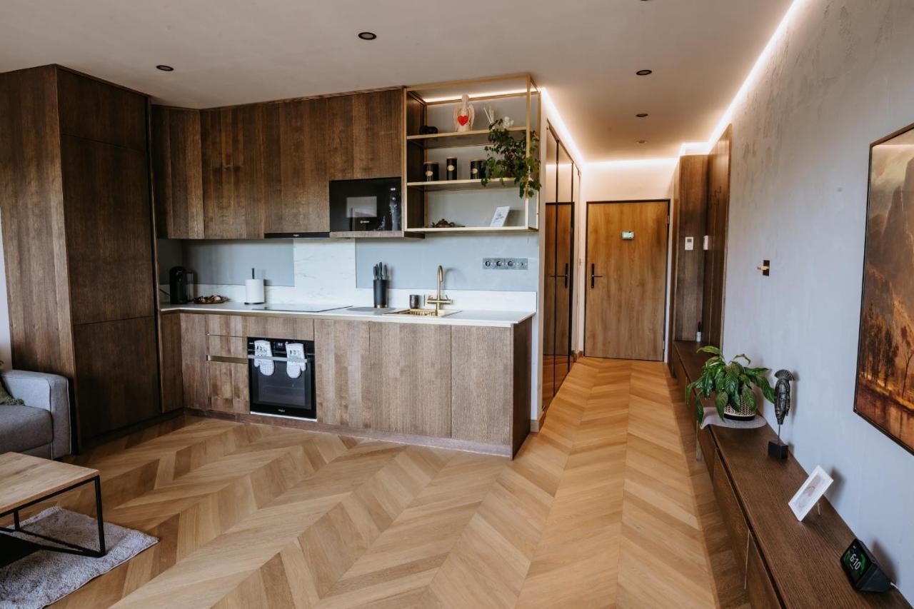 Minimalist Design Penthouse - Kosice Old Town Apartment ภายนอก รูปภาพ